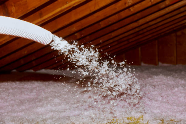 Best Local Insulation Services  in Frostburg, MD